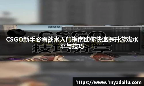 博鱼中国官方网站