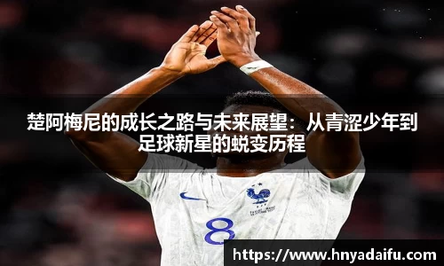 博鱼.体育官网